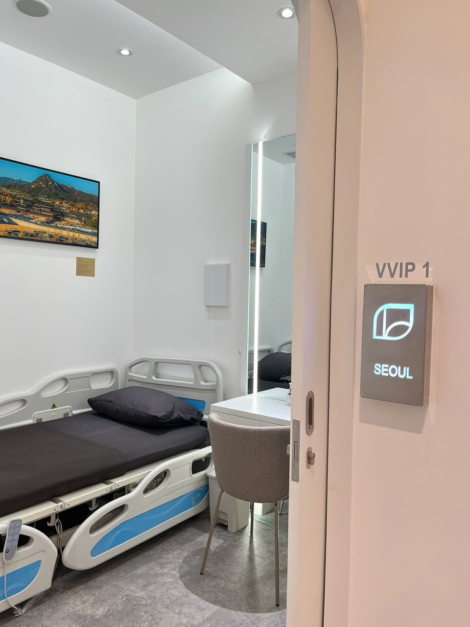 Ruang VVIP 1 Hestia Women Clinic bernuansa putih dan abu-abu dengan tempat tidur pasien, vanity, cermin berlampu, artwork dinding, dan signage Seoul.